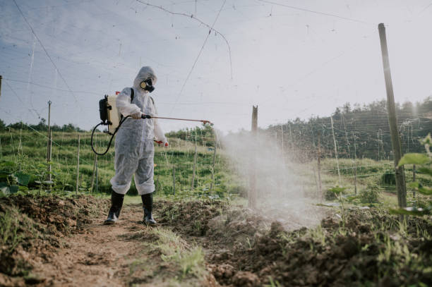 Best Mosquito Control Services  in Copperas Cove, TX