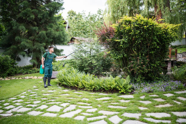Best Commercial Pest Control Services  in Copperas Cove, TX