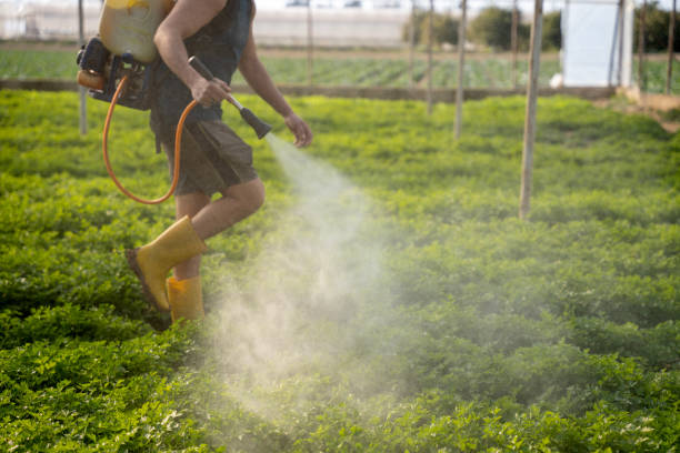 Reliable Copperas Cove, TX Pest Control Solutions
