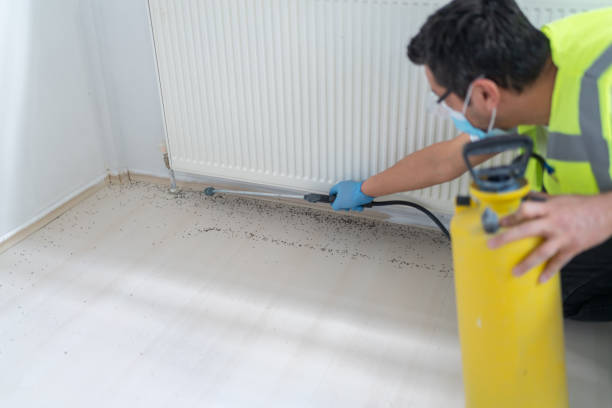 Best Residential Pest Control  in Copperas Cove, TX