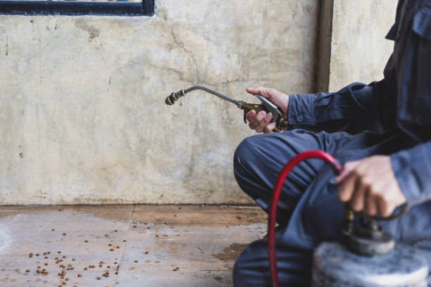 Best Affordable Pest Control Services  in Copperas Cove, TX
